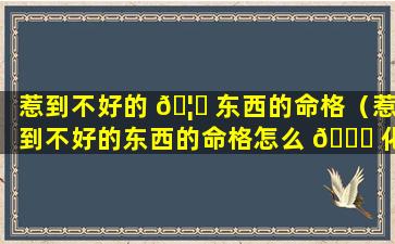 惹到不好的 🦉 东西的命格（惹到不好的东西的命格怎么 🐒 化解）